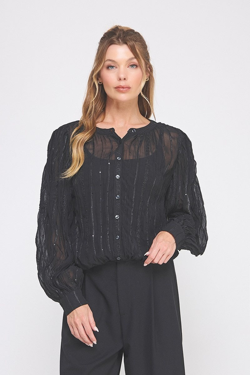 Embroidered Sequin Accent Button-Up Blouse – Sheer Long Sleeve Black Top