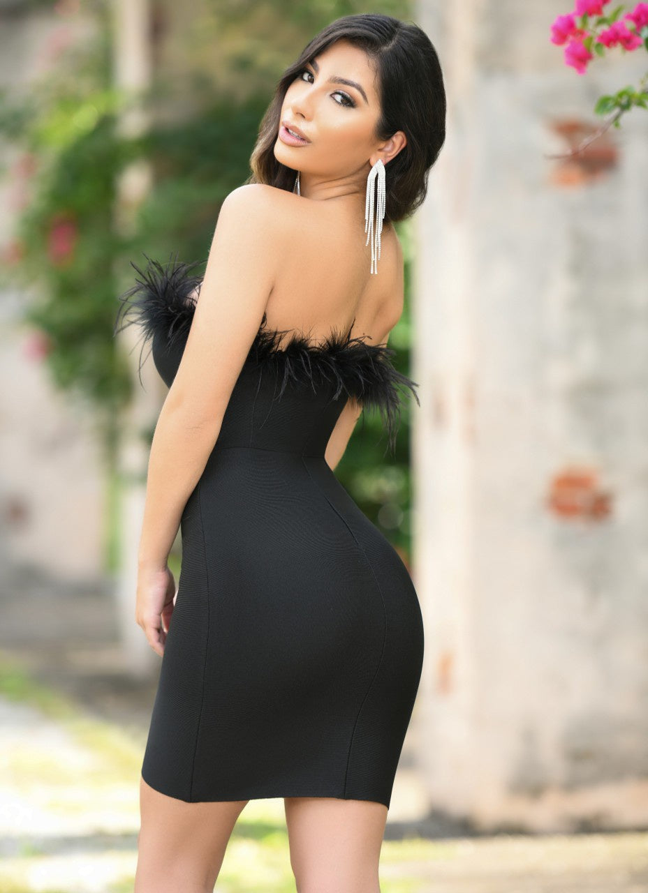 Sochi Mini Dress